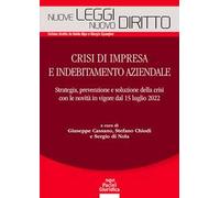 Crisi di impresa e indebitamento aziendale