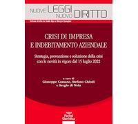 Crisi di impresa e indebitamento aziendale