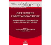 Crisi di impresa e indebitamento aziendale