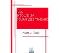 Crisi insolvenza sovraindebitamento