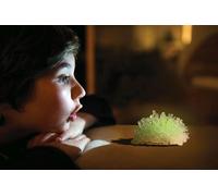 cristalli luminosi - set scientifico per la coltivazione dei cristalli