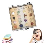 Cristalli per bambini - terrestri non lucidati + Assortimento multicolore, Campione di scienze geologiche, Strumento educativo di scienze della terra, Tesoro minerale naturale | Kit di scoper