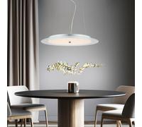 Cristallo LED Sospensione Coprire Lampada a 30 W Dormire Salotto Ess Camera Luci [EEK: Inaditato]