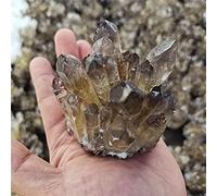Cristallo naturale grezzo for cristallo di tè al quarzo fumé naturale ClusterStones Crystal Point Specimen Home Decoration Cristalli grezzi (Size : 300-400g)
