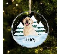Cristallo Palline di Natale con Cane Gatto Animale domestico Foto Personalizzate,Decorazioni Albero di Natale con Foto e Nome,Interno Esterno ornamento Appeso,Regalo per gli amici amanti degli animali