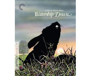Criterion Collection: Watership Down (Blu-ray) John Hurt Richard Briers