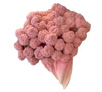Crochet Kit Blanket | Flower Craft Supplies - Pink Bouquet Knitting Kit For Adults Women | Home Decor Bed Throws For Couch Bedroom Living Room Office Birthday Christmas