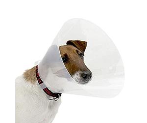 Croci Collare Elisabettiano per cani taglia XXL, Collare Elisabetta a cono per la protezione e cura di cani e gatti, previene graffi, morsi e leccate, 30 cm