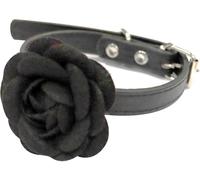 CROCI Collare per Cane Black Rose M