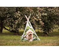 Croci Cuscino per Cani e Gatti in Morbida Microfibra a Forma di Amaca | Cuccia per Cane e Gatto con Morbido Cuscino Imbottito all' Interno | Fantasia Jungle Tepee | Misure: 50X48X70 CM