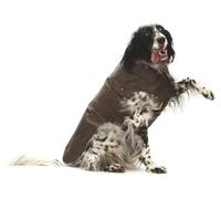 Cappotto Impermeabile per cani Montreal Croci: marrone - 35 cm