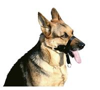 Croci Museruola da Addestramento Cane, in Nylon, Con Gancio per Guinzaglio, Regolabile/Circonferenza muso massima 28 cm