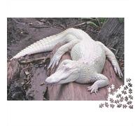 Crocodile bianco Puzzles 1000 Pezzi In cartone Spesso, Un Puzzles Per Enigma Per Il Relax Mentale, Ideale Per Partita Puzzle Game, Puzzle 70x50cm/1000pcs