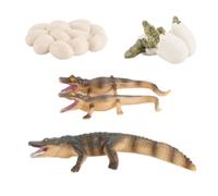 Crocodile Life Cycle - Statuetta per rettili in PVC | Set di quattro statuine in PVC per la crescita, per aula, asilo, asilo, casa, modelli educativi per l'apprendimento di