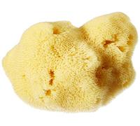 Croll & Denecke L090 - Spugna Naturale a pori Sottili, levantina dal Mar Mediterraneo, per la Cura del Viso, Dimensioni: 9 cm