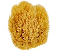 CROLL & DENECKE M120 - Spugna Naturale dal Mar Mediterraneo, qualità Media, 12 cm