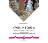 Crolli in edilizia. Guida per il progettista, il direttore dei lavori e il collaudatore statico e analisi delle responsabilità delle parti in causa