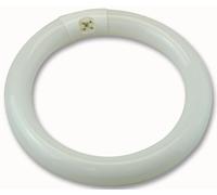 Crompton Illuminazione - CIR22SPCW - 210MM 22W Circolare Influenza Cw G10Q