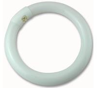 CROMPTON LIGHTING - CIR22SPWW - 210MM 22W Circolare Influenza Ww G10Q (4PIN)