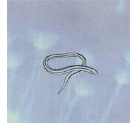Crooked Fingers - Bring on the Snakes