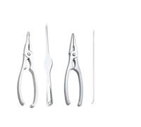 Crostacei Pinza per Aragoste e Scampi, Apri Granchio Crostacei Astice, Argento Lucidato (KIT 4 PEZZI)