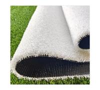 CROWEL Tappetino erboso in Erba Artificiale Realistico Anti-spargimento con Fori di drenaggio 1 PCS(White,24x79in)