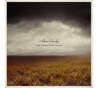 Crowley Adrian - I See Three Birds Flying