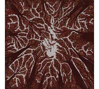 Crown Shyness【輸入盤】