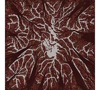 Crown Shyness (Cd)