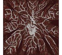Crown Shyness - Trash Boat (Vinile)