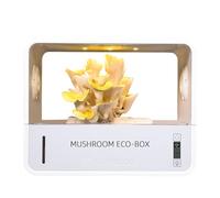 Crownow Scatola per la coltivazione di funghi con display di temperatura e umidità, kit intelligente per la coltivazione di funghi monotub, tenda da coltivazione per funghi da interno con luce