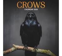 Crows Calendar 2026: Mysterious Beauty of the Black Birds