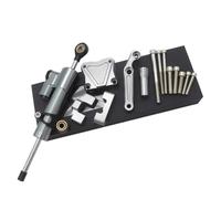 CRTQNS Accessori motociclette per Kawasaki per Ninja 300 per NINJA300 EX300 2013-2017 Kit di Montaggio con Staffa Regolabile per Ammortizzatore di Sterzo per Moto Parti di Ricambio(Titanium Set)