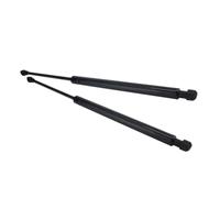 CRTQNS Accessori per Auto per Renault per Clio III MK3 Hatchback 2005-2013 | Supporto for ammortizzatori a gas for bagagliaio del portellone posteriore dell'auto