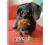Crusoe the Celebrity Dachshund 2022 Engagement Calendar