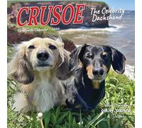 Crusoe the Celebrity Dachshund 2026 Mini Wall Calendar