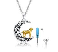 CRWENG Collana con urna per ceneri, catena in argento sterling 925, ciondolo memoriale, elegante gioiello in ricordo per uomini, donne, unisex, Taglia unica, zirconia cubica
