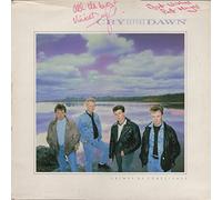 CRY BEFORE DAWN - crimes of conscience