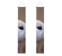 Cry Rabbit Stampa Laurea Party Portico Banner Riutilizzabile Banner Forniture 2025 Facile Appendere Sistema