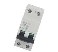 Cryfokt Interruttore Automatico Miniaturizzato da 250 V CC Facile e Affidabile da Utilizzare per Sistemi CC 16 A/32 A/63 A (32A)