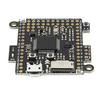 Cryfokt Modulo Scheda Madre Potente Scheda di Sviluppo per Prototipazione Rapida per Creativi e Appassionati del Fai da Te con 1 Madre e 1 Dati
