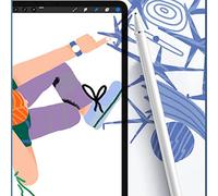 Cryfokt Penna Stilo Universale per Tablet Ad Alta Precisione, Doppia Punta Scrivibile per Disegnare, Scrivere e Prendere Appunti per Dispositivi IOS/, Nera