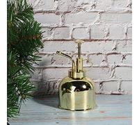 Cryfokt Spruzzatore a Pressione in Acciaio Inossidabile, Nebulizzatore Portatile Dorato per Piante, Irrigatore per Interni con Ugello Regolabile per Strumenti di Irrigazione per Piante da Giardino