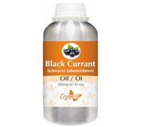 Crysalis Black Currant (Ribes Nigrum) Oil - 2000 ml/67,6 Fl oz