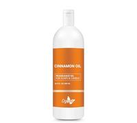 Crysalis Cinnamon Fragrance Oil for Candle Making, Soap Making, Wax Melts, Diffusers & DIY Crafts - Long-Lasting Scent - 16.9 oz / 500 ml
