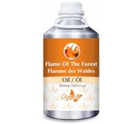 Crysalis Flame of the forest (Butea monosperma) Oil, 5000 ml/169 Fl oz