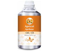 Crysalis Olio di albicocca (Prunus armeniaca) - 5000 ml/169 Fl oz