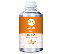 Crysalis Olio di colza (Brassica napus) - 5000 ml/169 Fl oz