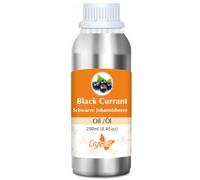 Crysalis Olio di ribes nero (Ribes nigrum) - 250 ml/8,45 Fl oz