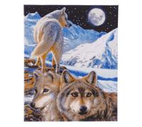 CRYSTAL ART The Sentinel 40 x 50 cm Kit con cornice per ritratto